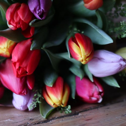 seasonal-tulips-2